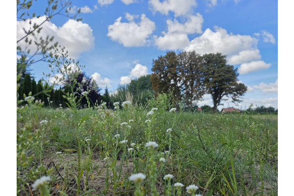 Grudziądz, Działka na sprzedaż