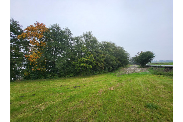 Grudziądz, działka z linią brzegowa Gruta